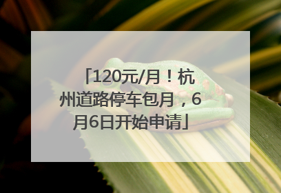 120元/月！杭州道路停车包月，6月6日开始申请